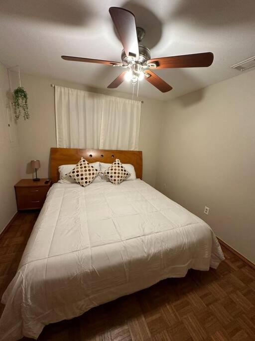 Mcallen 4Br With Pool, Shopping & More 외부 사진
